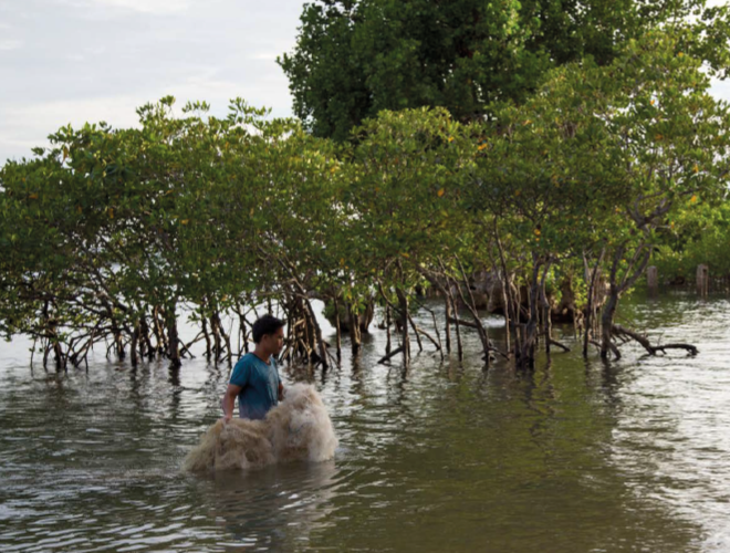 Bedrijven en Biodiversiteit