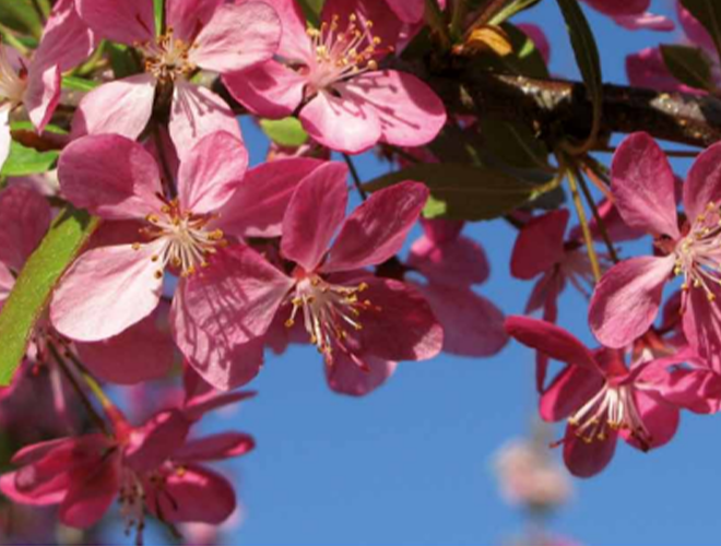 Cradle to Cradle loont!