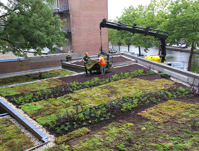 Financiële prikkels voor klimaatadaptatie