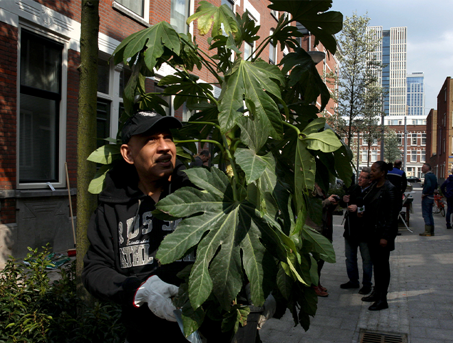 Klimaatadaptatie Rotterdam en rol financiële instellingen