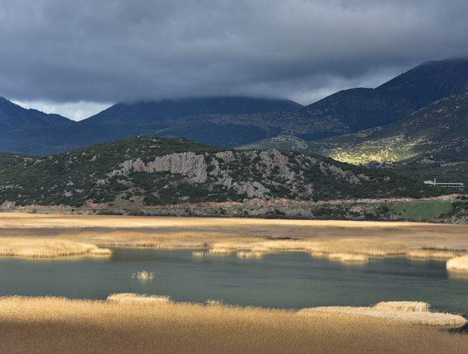Positive Impact Finance for Business and Biodiversity