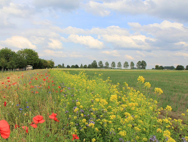 Werkconferentie ‘Samenwerken aan een weerbare landbouw en natuur’