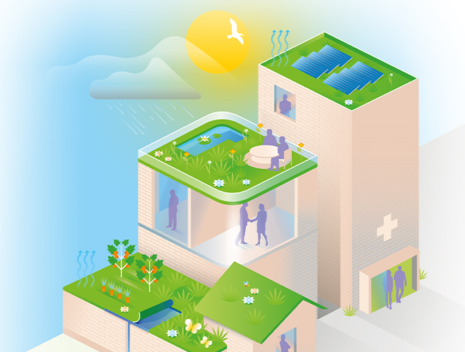 Facts and Values Green-blue roofs