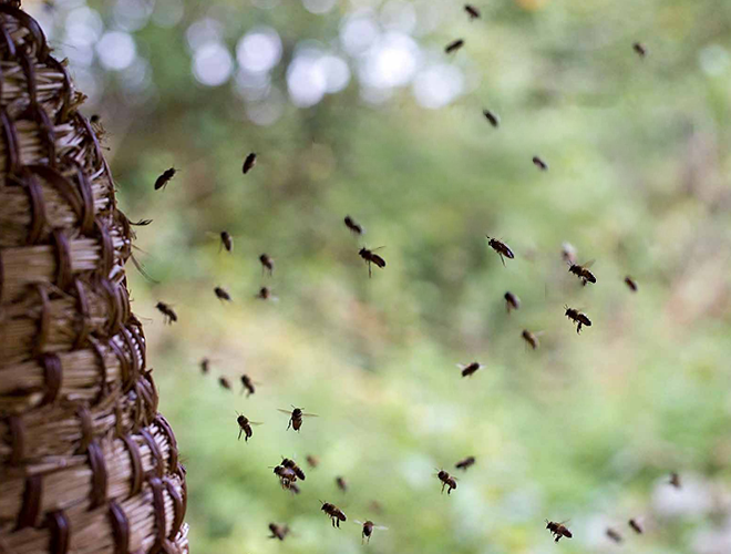 Finance for one planet