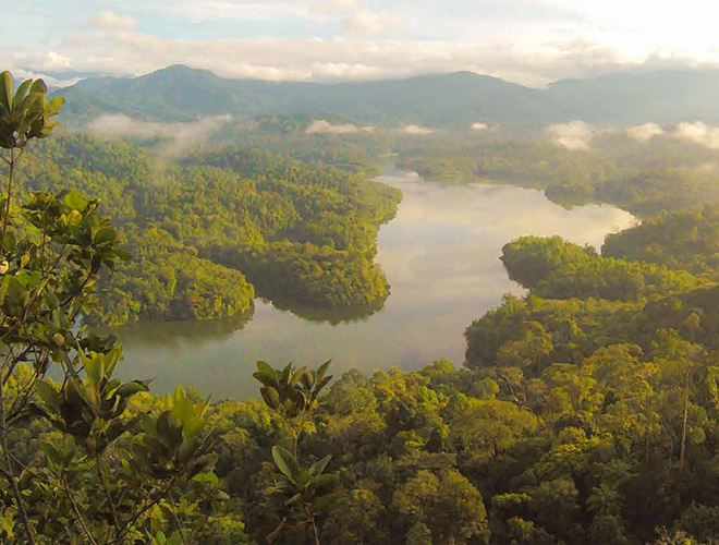 Guidance to the Pledge