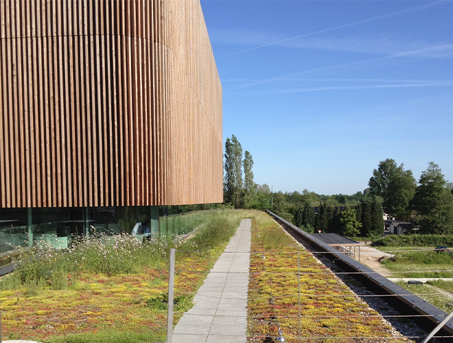 Guide to green roofs