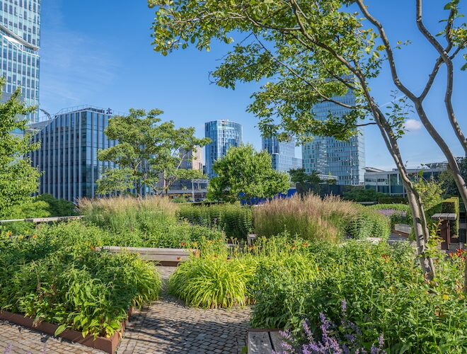 Amsterdam-CIRCL ABN AMRO-220621-13