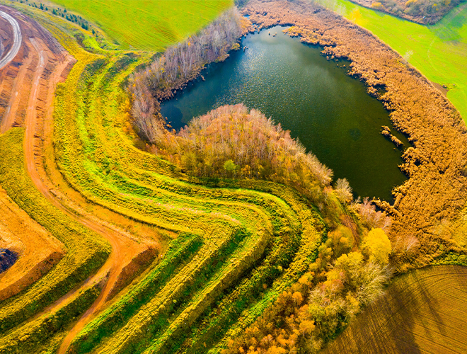 Guide on Biodiversity measurement approaches