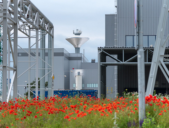 Fact Sheet: Nature at Business Parks